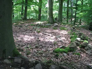 Kronenburg