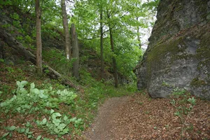 Habichtsburg