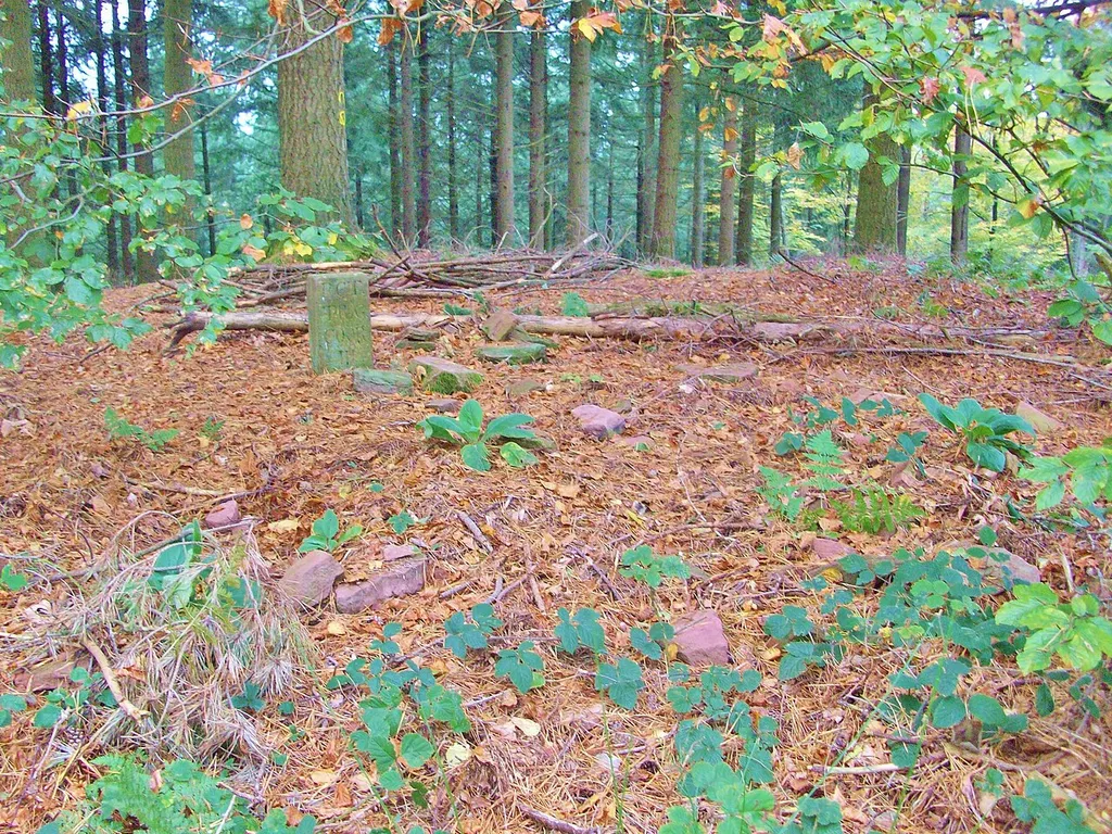 Burg Stutz: Ringwallanlage oder unvollendete hochmittelalterliche Burganlage? Blick von Südwest zum Burg-Plateau