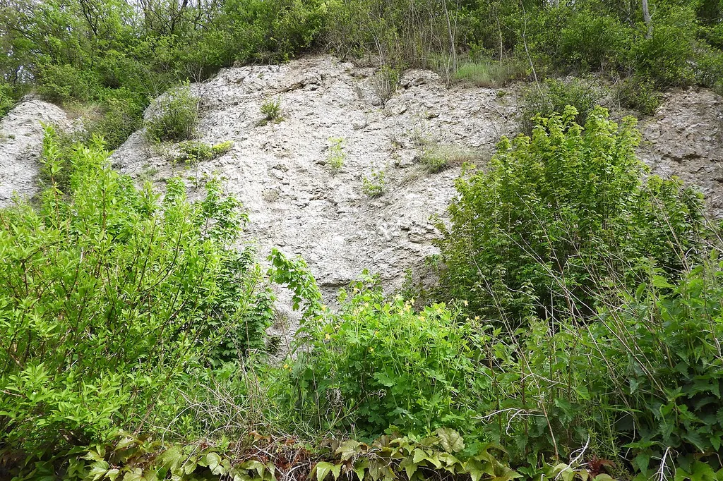 Das Flora-Fauna-Habitat-Gebiet „Gipskarst bei Berneburg“ ist ein Felsenbereich in Berneburg, einem Ortsteil der Stadt Sontra im nordhessischen Werra-Meißner-Kreis. Das kleine Karstgebiet beherbergt schutzwürdige Höhlen, die nicht zugänglich sind und von heimischen Fledermausarten als Überwinterungsquartiere genutzt werden. Eine davon ist die längste aktive Wasserhöhle Nordhessens. Kleinflächig kommen in dem geschützten Bereich Kalkfelsen, Magerrasen, Saumstrukturen sowie staudenreiche Waldränder vor. Sie bilden die Lebensgrundlage für eine vielfältige Tagfalter-, Widderchen- und Heuschreckenfauna.