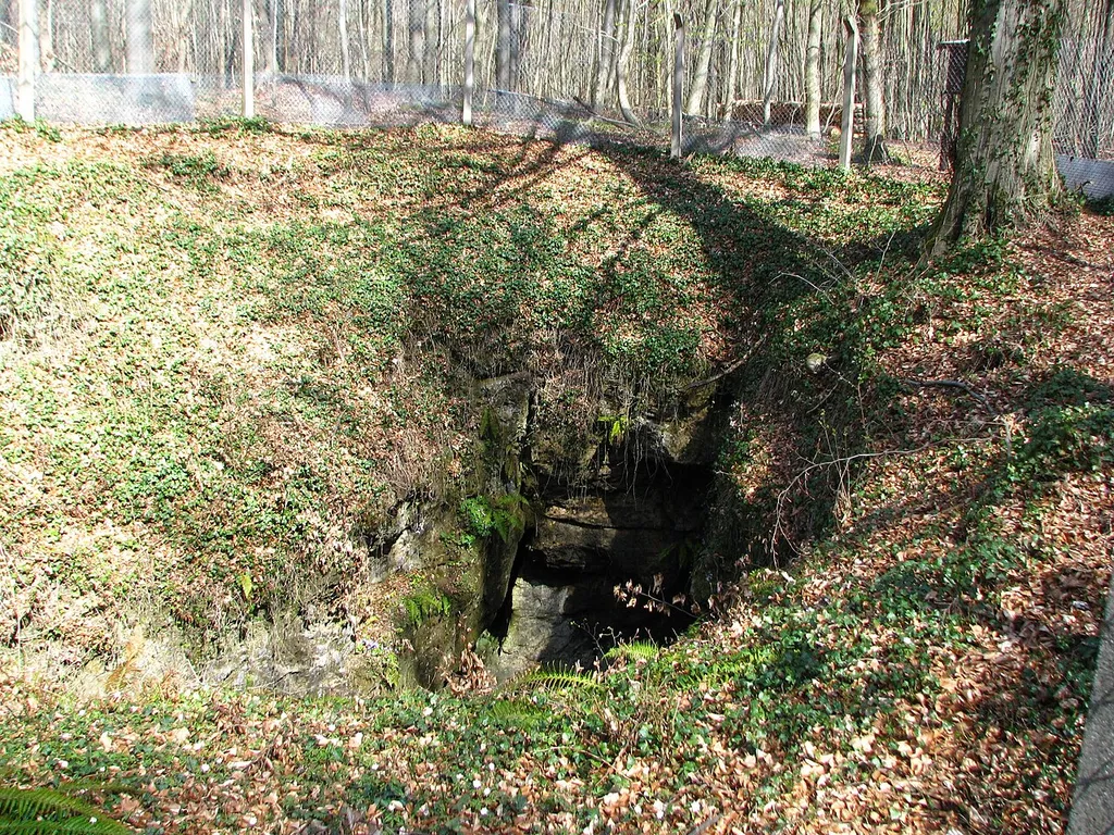 Unicorn Cave