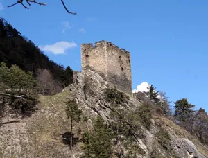 Neuburg Castle