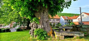Angerlinde vor der Kirche
