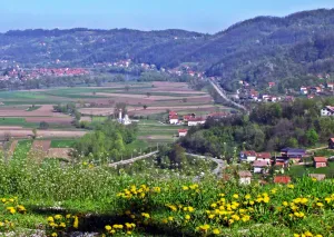 Kostajnica