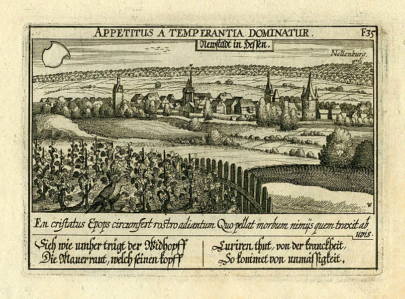 aus Daniel Meisner's Schatzkästlein “Newstadt in Hessen.” Im Hintergrund die Ruine Nellenburg. Kupferstich aus Daniel Meisner’s Schatzkästlein. Ausgabe bei Paul Fürst, Nürnberg (F 35), 1638/1678.