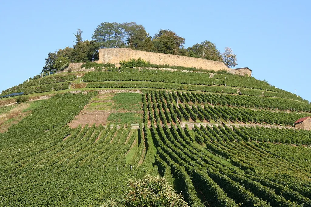 Burgruine Weibertreu from the Southwest