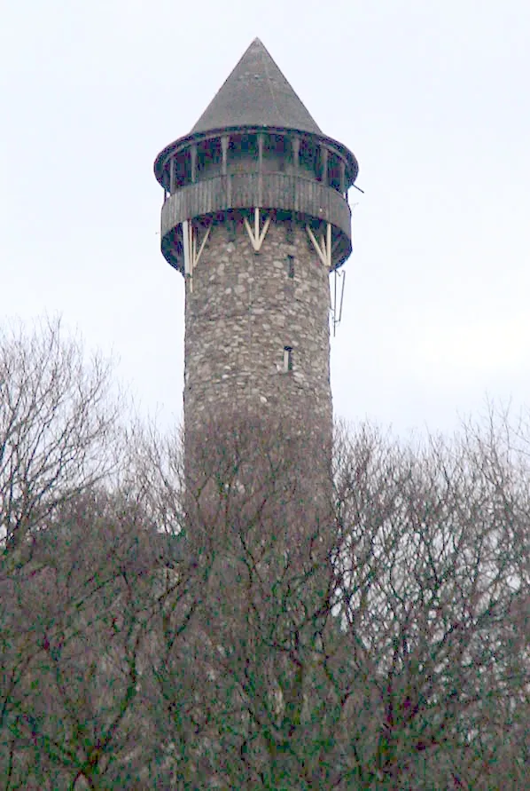 Beschreibung: Burgruine Wildenburg Quelle: Fotograf / Zeichner: Dirk O. Brückner Andere Versionen: (für die GNU FDL) (für Public Domain)