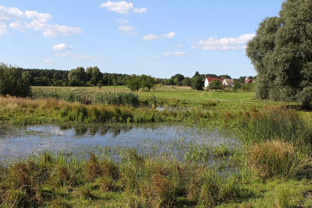 Blick über das Naturschutzgebiet Schäferpfühle Ladeburg Richtung Norden