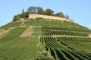 Burgberg mit Weibertreu