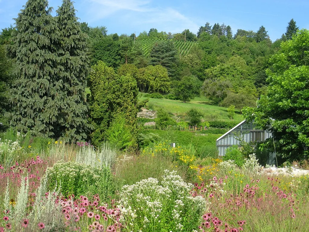 General view - Botanischer Garten der Universität Würzburg, Würzburg, Germany.