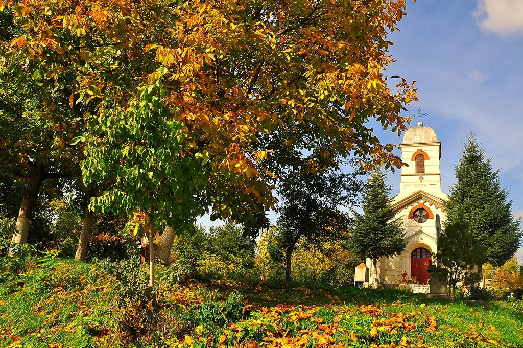 Biserica romano-catolică Sfântul Iosif Muncitorul din Dorohoi este o biserică romano-catolică care a fost construită în perioada 1905-1906 în Dorohoi, județul Botoșani. Ea se află pe Strada Spiru Haret la nr. 88.