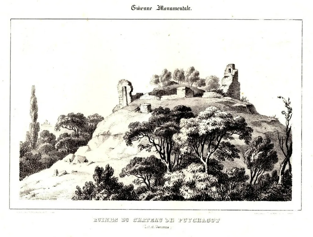 Château de Puychagut-ruines