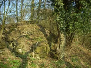 Fürstenberg Castle (Höingen)