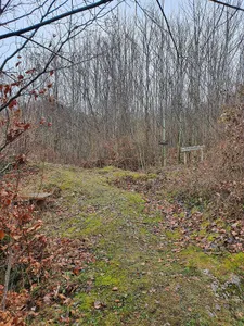 Burgstall Hohenstein (Staudach-Egerndach)
