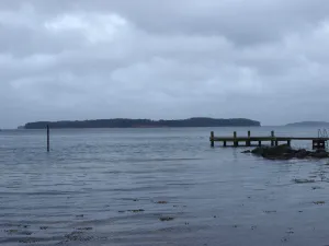 Fænø
