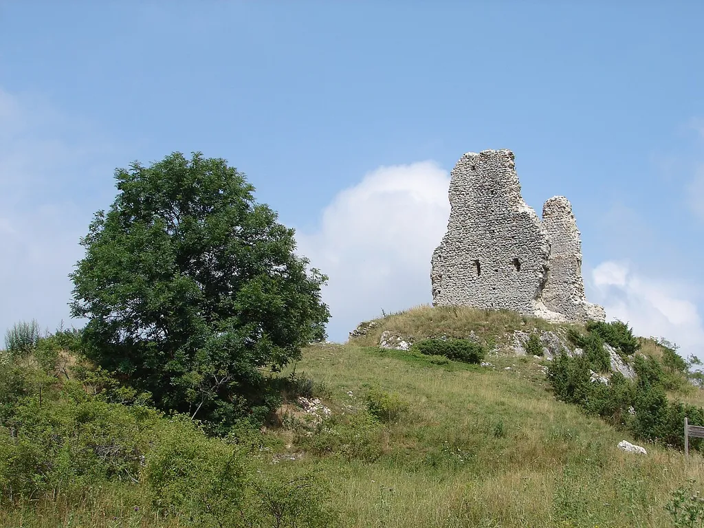 The castle of Montaillou (XIIe-XVI century), Ariège, France.