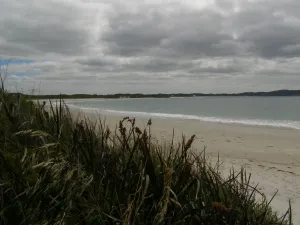 Torbay