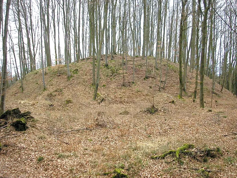 Hochmittelalterlicher Burgstall (Turmhügelburg) Wagesenberg bei Pöttmes (Landkreis Aichach-Friedberg, Bayerisch-Schwaben). Der Turmhügel von Westen. Eigene Aufnahme, März 2008 / High Middle Ages Motte-and-bailey castle Wagesenberg near Poettmes (Landkreis Aichach-Friedberg, Bavaria, Germany). The motte, seen from the west. Own photo, March 2008