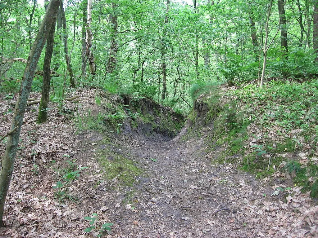 Der Burgwall bei Ottensen. Zu sehen ist der durch einen Pfad durchstochene Hauptwall.