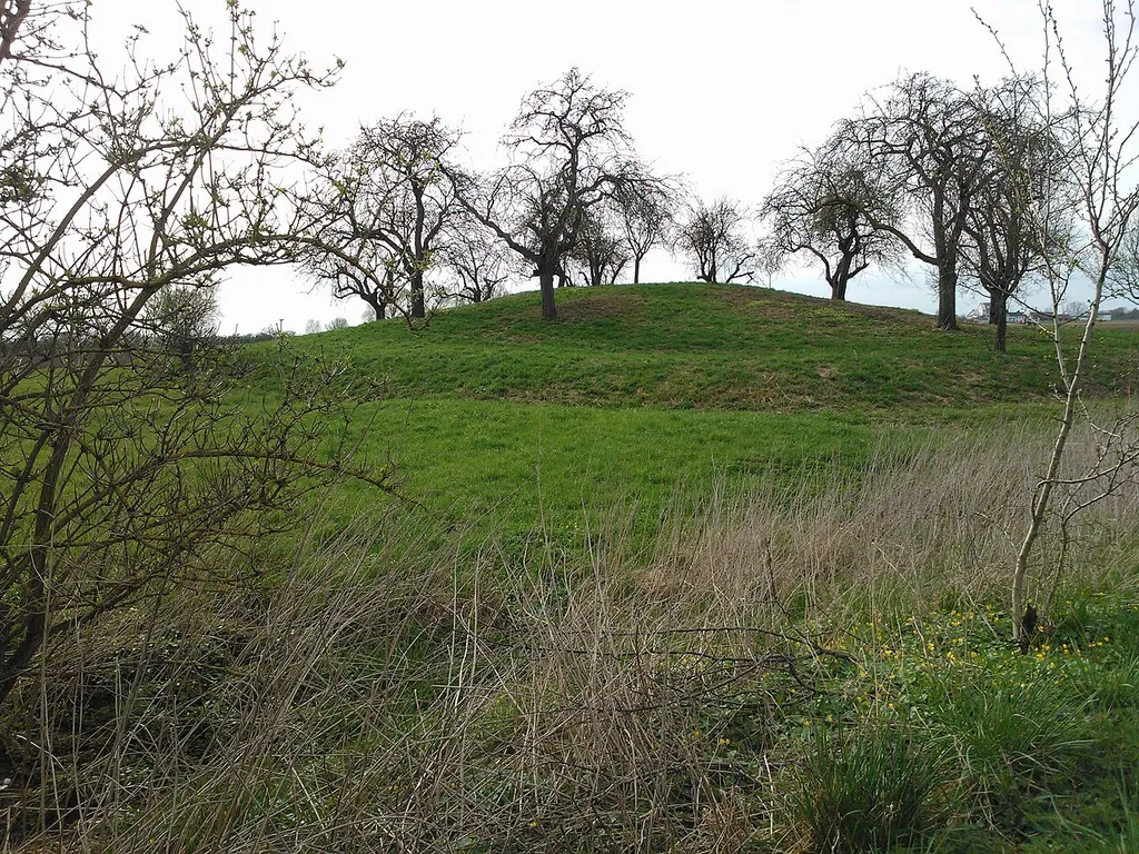 Burgstall der abgegangenen Motte Wellberg südlich von Pfungstadt, Landkreis Darmstadt-Dieburg, Hessen. Aufnahme aus Osten