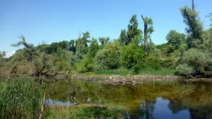 Rheinniederung von Karlsruhe bis Philippsburg