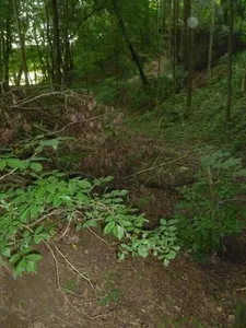 Burgstall Altheim (Oberösterreich)