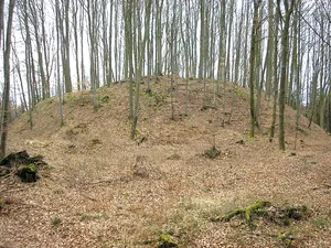 Burgstall Wagesenberg