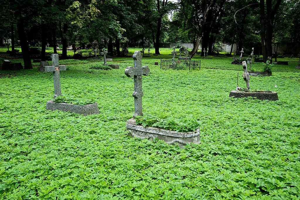 The Novodevichy Cemetery in Saint Petersburg.