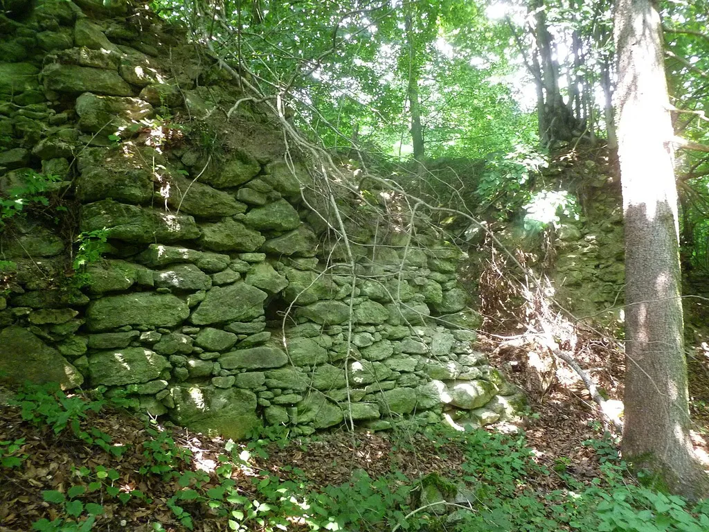 Burgruine Steinerberg