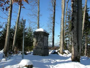 Burg Hohentann