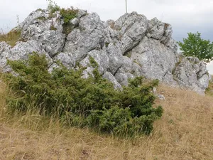 Schutz von Landschaftsteilen im Bereich der Stadt Harburg und der Gemeinde Großsorheim