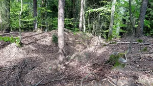 Burgstall Burgbuckel Hettigenbeuern