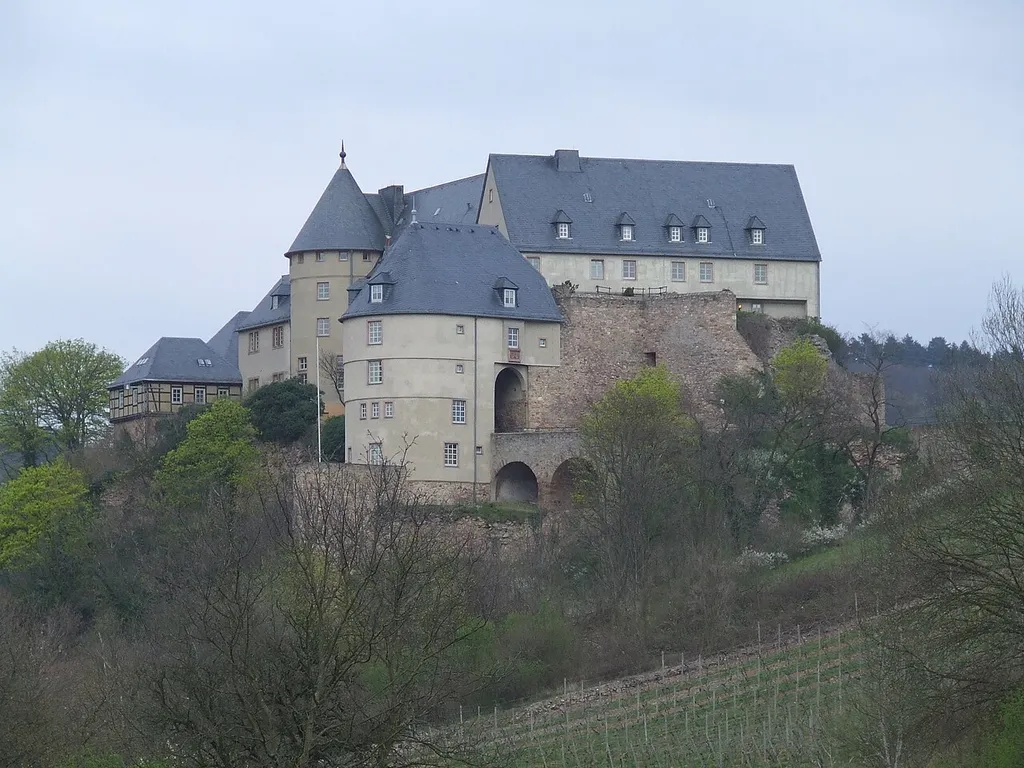 Die Ebernburg in Bad Münster-Ebernburg, Westansicht, fotografiert vom unteren Ende der Zufahrtstraße K 95