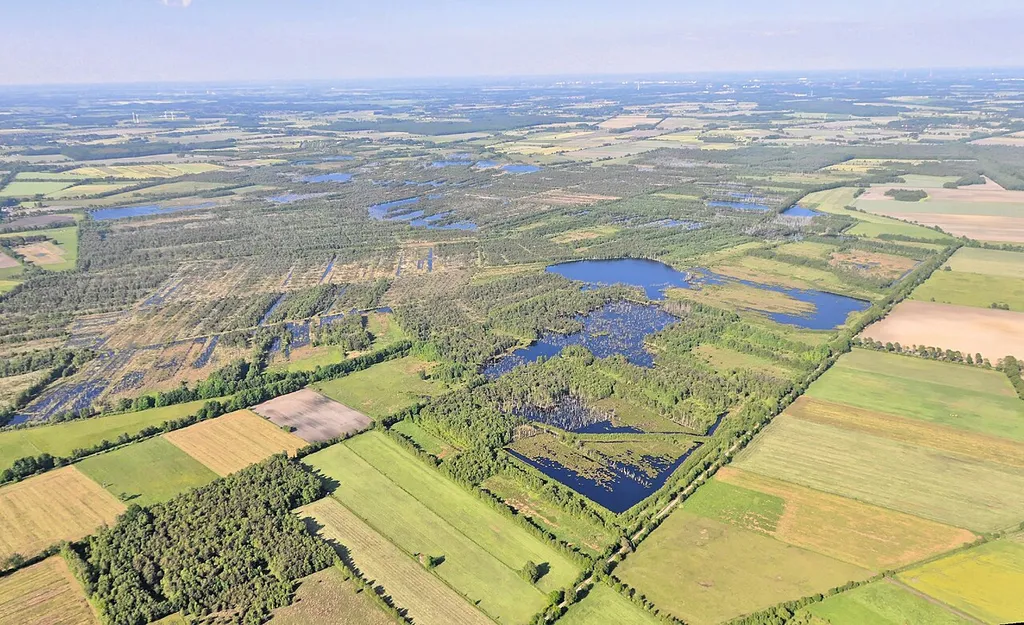 Hohes Moor (Lüneburg)