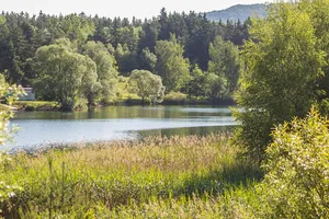 Birkensee (Nürnberg)