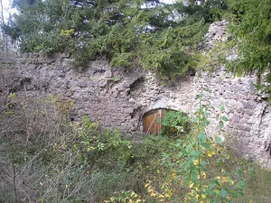 Burg Nesselburg