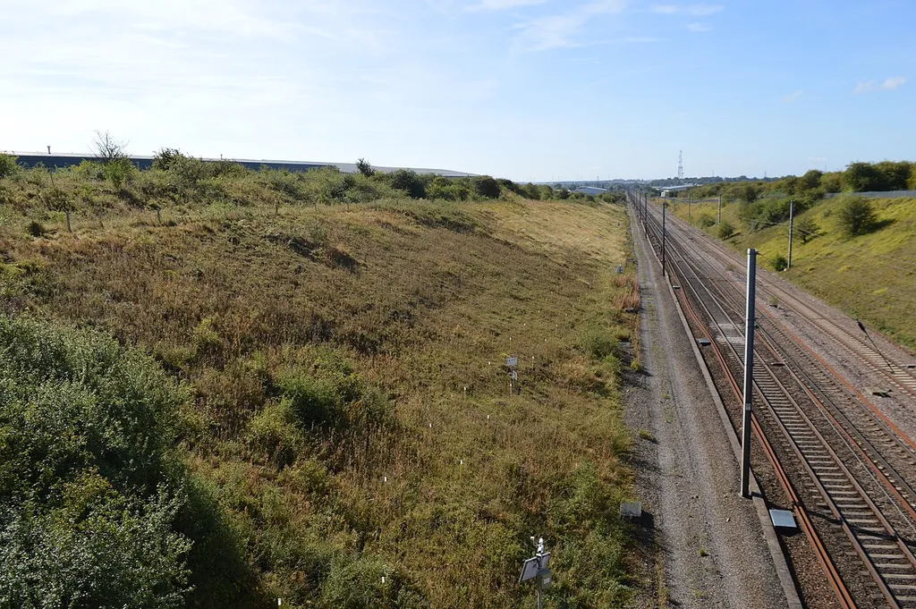 Great Stukeley Railway Cutting is a biological Site of Special Scientific Interest on the verges of a stretch of the East Coast Main Line in Huntingdon in Cambridgeshire