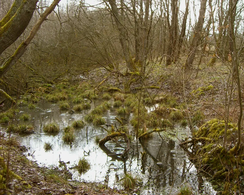 Dudenrother Schanze, aus westlicher Richtung vom inneren Wall aus fotografiert