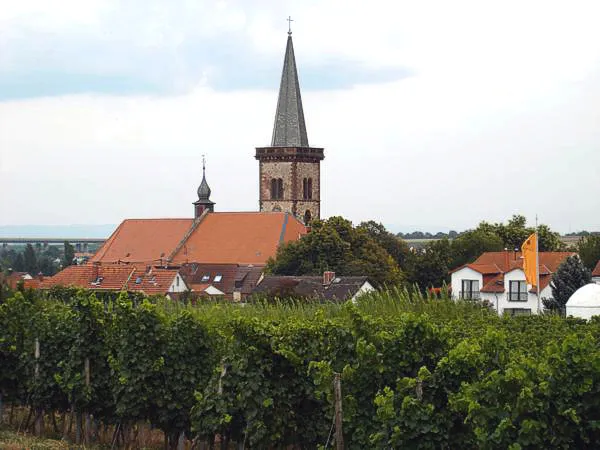 Simultaneous church of the Assumption of Mary, Pfeddersheim