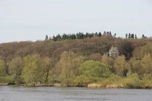 Hohes Elbufer zwischen Tesperhude und Lauenburg