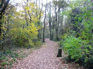 Vogelschutzgebiet am Wildmeisterdamm in Rudow