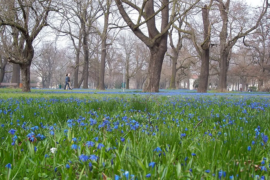 Nordpark in Magdeburg, Sachsen-Anhalt. 52º 8' 34.55" N 11º 38' 44.29" E