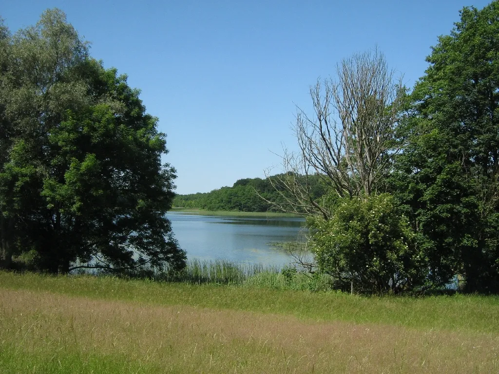 Der Dambecker See bei Kratzeburg, Mecklenburgische Seenplatte District (Mecklenburg-Vorpommern, Germany)