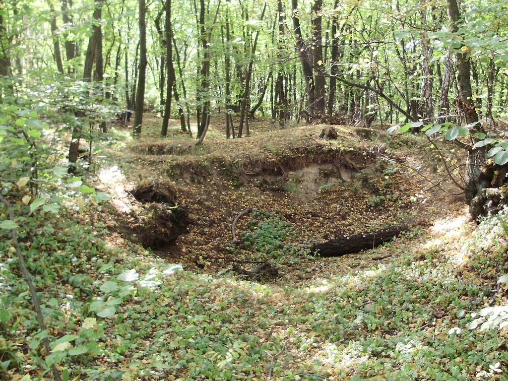 Orlovice zbytky hradu