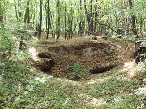Orlovice