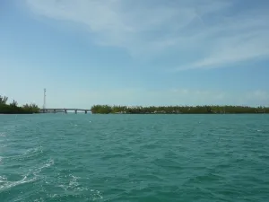 Fleming Key