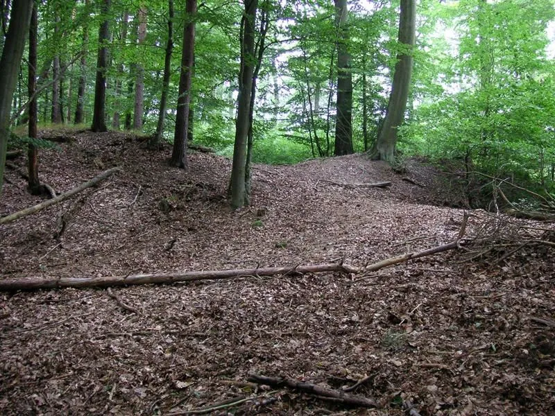 Hauptburg des Burgwalls bei Wittenborn