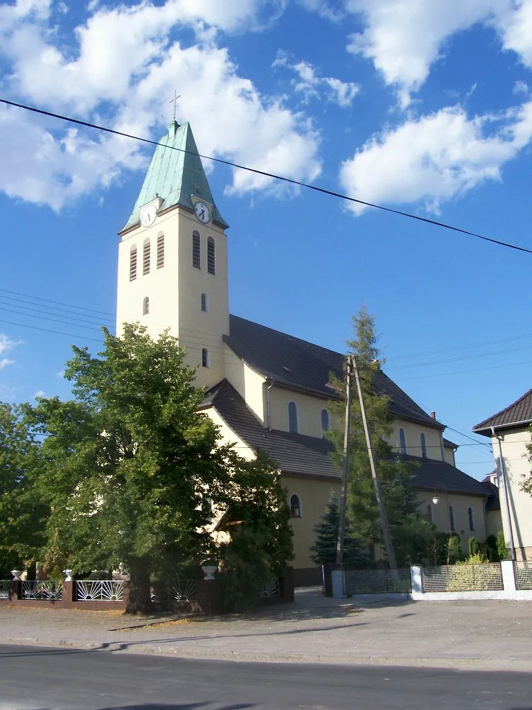 The church of the Assumption of the Mother of God, in Opole, Poland