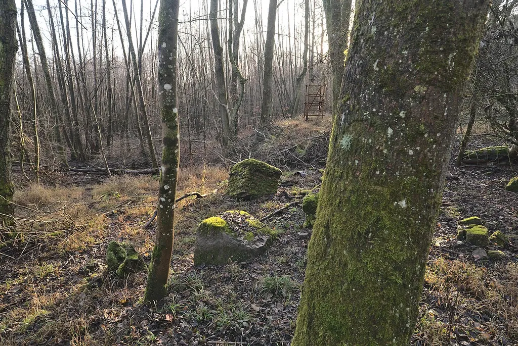 Ruinen des ehemaligen Holzer Freibads.
