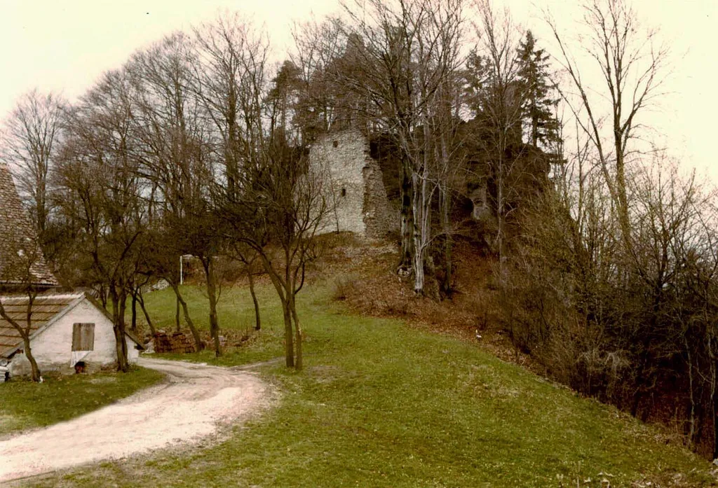 Burg Wildenfels